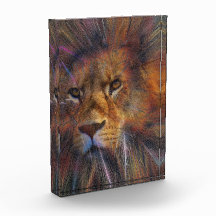 Löwe im Foto der Galerie