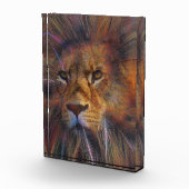 Löwe im Foto der Galerie (Rechts)