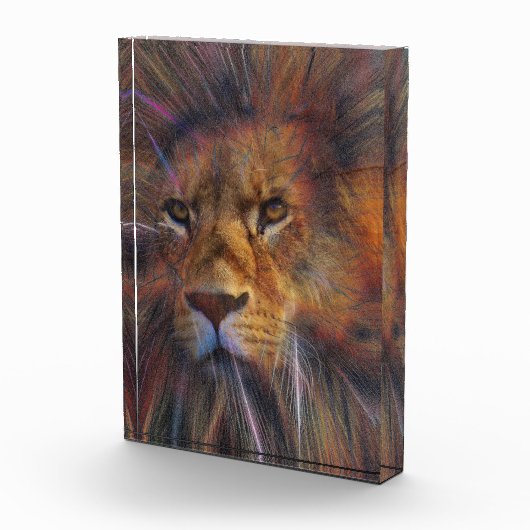 Löwe im Foto der Galerie (Rechts)