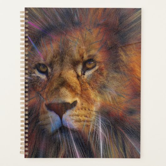 Löwe im Galerieplaner Planer (Vorderseite)