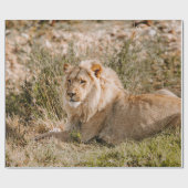 LÖWE IM GRAS GESCHENKPAPIER (Flach)