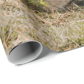 LÖWE IM GRAS GESCHENKPAPIER (Rolleneckpunkt)