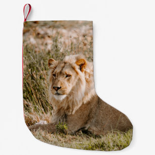LÖWE IM GRAS KLEINER WEIHNACHTSSTRUMPF