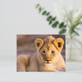 Löwe im Gras Postkarte (Stehend Vorderseite)