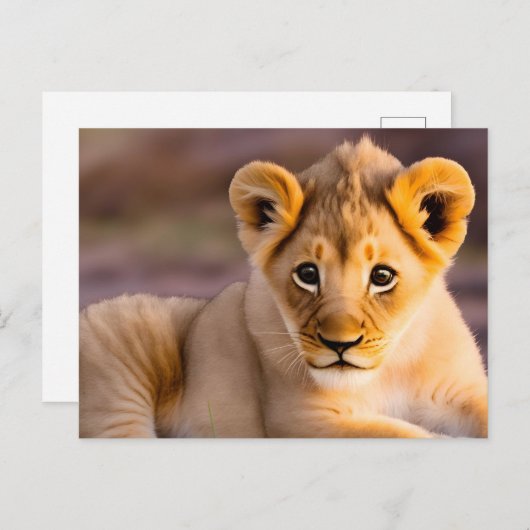 Löwe im Gras Postkarte (Vorne/Hinten)