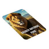 Löwe im Kruger Nationalpark Südafrika Magnet (Rechte Seite)