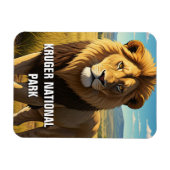 Löwe im Kruger Nationalpark Südafrika Magnet (Horizontal)