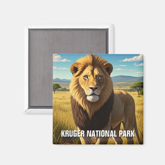 Löwe im Kruger Nationalpark Südafrika Magnet (Vorderseite/Rückseite)