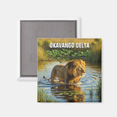 Löwe im Okavango-Delta Botswana Magnet (Vorderseite/Rückseite)