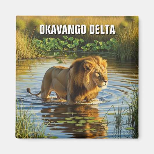 Löwe im Okavango-Delta Botswana Magnet (Vorne)