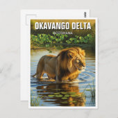Löwe im Okavango-Delta Botswana Postkarte (Vorne/Hinten)