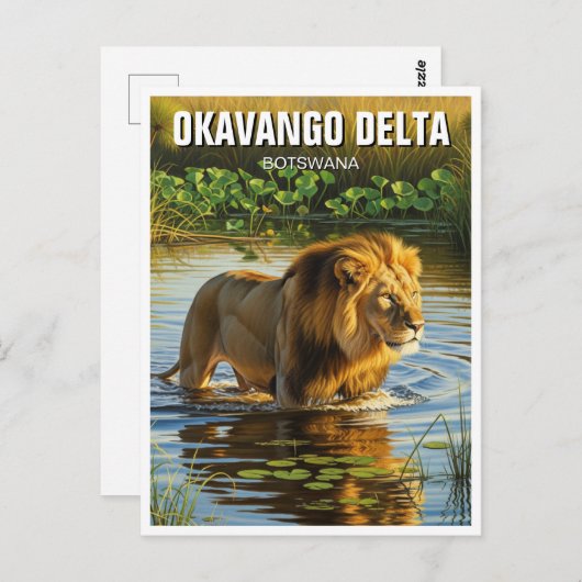 Löwe im Okavango-Delta Botswana Postkarte (Vorne/Hinten)