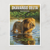 Löwe im Okavango-Delta Botswana Postkarte (Vorderseite)