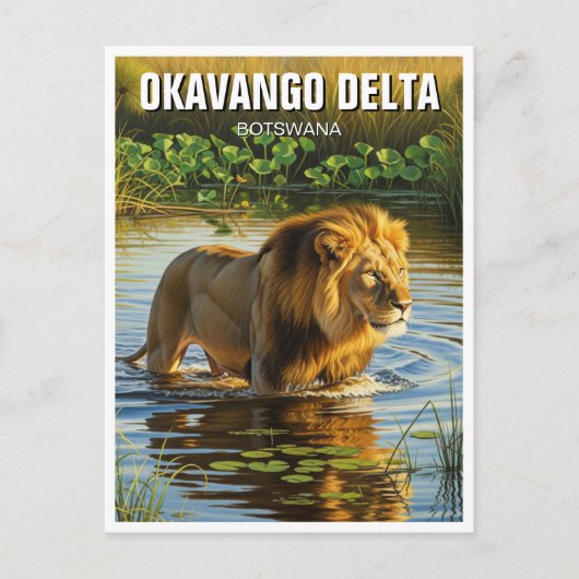 Löwe im Okavango-Delta Botswana Postkarte (Vorderseite)