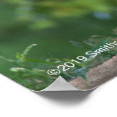 Löwe im Wald Poster (Ecke)