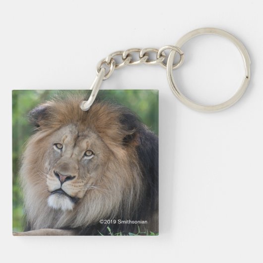Löwe im Wald Schlüsselanhänger (Rückseite)