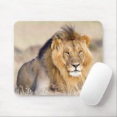 Löwe in Afrika Wildtiere Big Cat Mousepad (Mit Mouse)