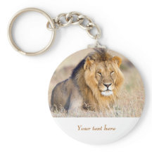 Löwe in Afrika Wildtiere Big Cat personalisierter