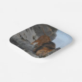 Löwe in den Bergen (von Richard Friese) Pappteller (Gewinkelt)