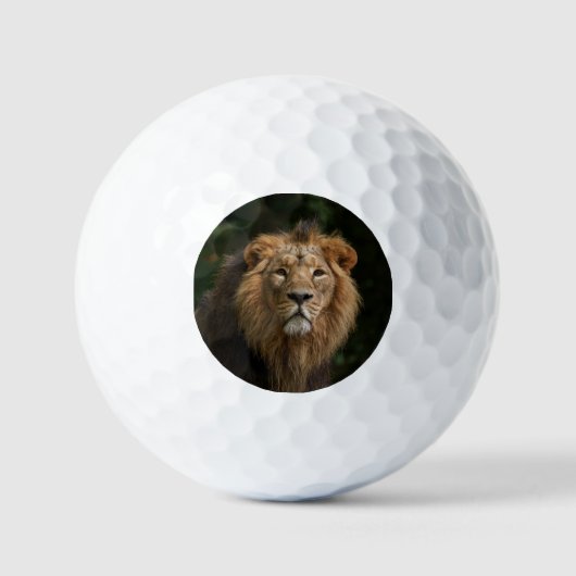 Löwe in den Schatten Golfball (Vorderseite)