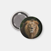 Löwe in den Schatten Magnet (Vorderseite/Rückseite)
