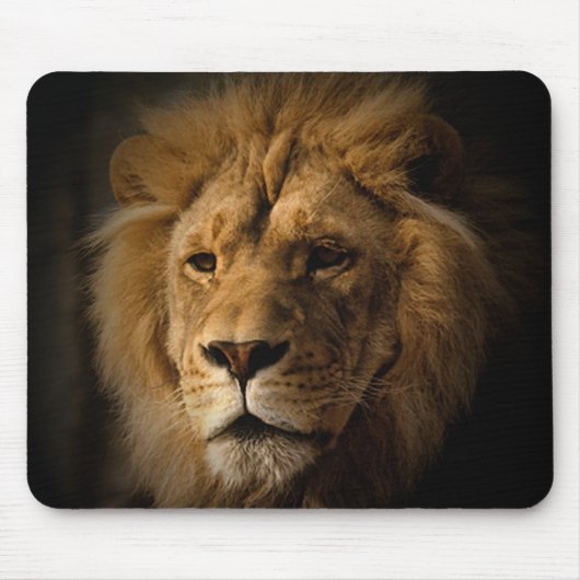 Löwe in Dunkelheit mousepad (Vorne)