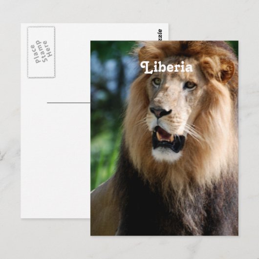 Löwe in Liberia Postkarte (Vorne/Hinten)