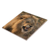 Löwe in naturafrikanischer Umgebung Fliese (Seite)