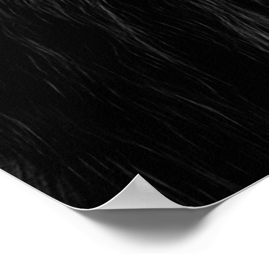 Löwe in Schwarz und Weiß Poster (Ecke)