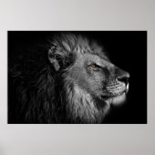 Löwe in Schwarz und Weiß Poster (Vorne)