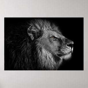 Löwe in Schwarz und Weiß Poster