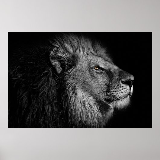 Löwe in Schwarz und Weiß Poster (Vorne)
