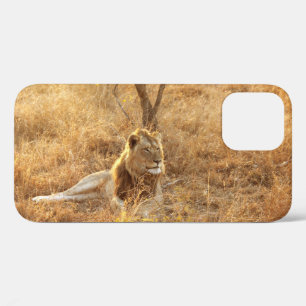 Löwe iPhone 12 Hülle