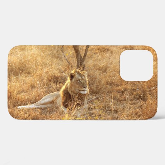 Löwe iPhone 12 Hülle (Rückseite (Horizontal))
