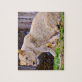 Löwe [Jigsaw puzzle: 110P] Puzzle (Vertikal)