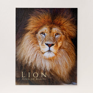 Löwe [Jigsaw puzzle: 520P] Puzzle