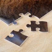 Löwe [Jigsaw puzzle: 520P] Puzzle (Seite)