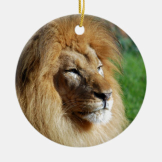 Löwe Keramikornament