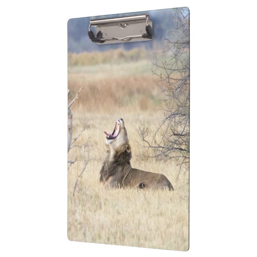 Löwe Klemmbrett (Links)