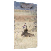 Löwe Klemmbrett (Rechts)