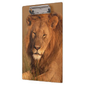 Löwe Klemmbrett (Links)