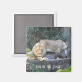 Löwe, König des Dschungels Magnet (Vorderseite/Rückseite)