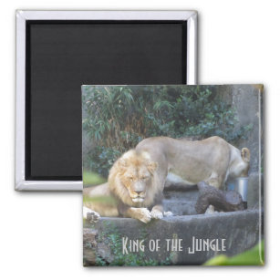 Löwe, König des Dschungels Magnet