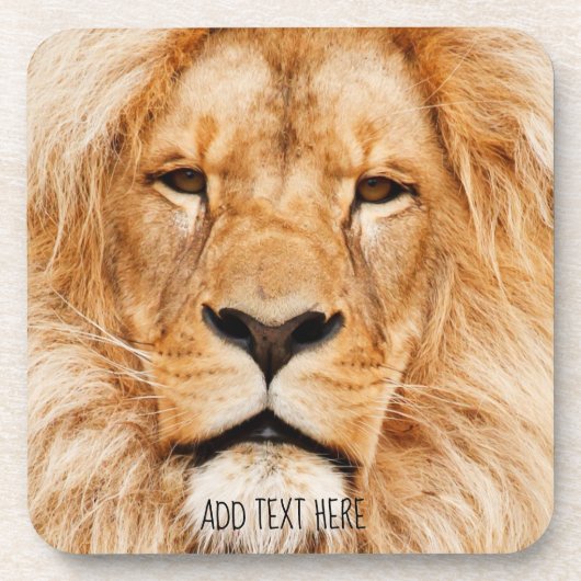 Löwe, König von Afrika Getränkeuntersetzer (Vorderseite)