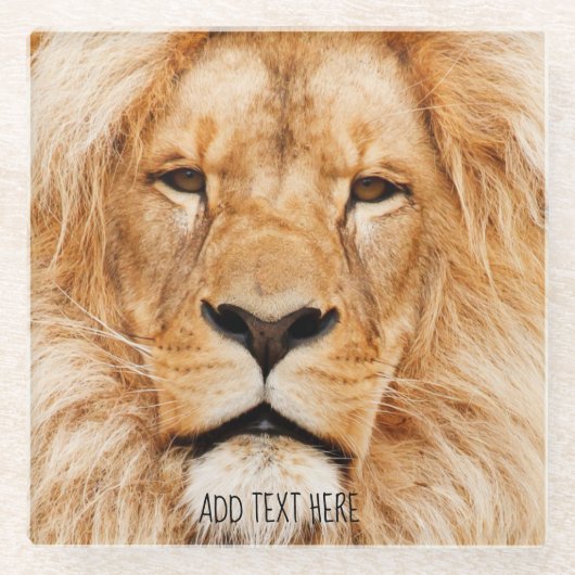 Löwe, König von Afrika Glasuntersetzer (Vorderseite)