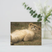 Löwe könnte niedliche komische Relax psychische Ge Postkarte (Stehend Vorderseite)