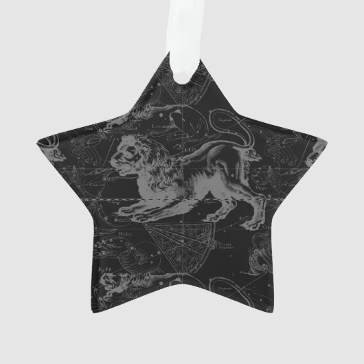 Löwe-Konstellation Hevelius 1690 July23 - 22. Ornament (Rückseite)