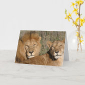 Löwe-Liebe - Karte (Gelbe Blume)