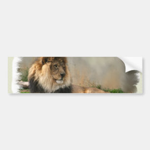 Löwe-Liebhaber-Kunst-Geschenke Autoaufkleber
