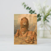 Löwe, Löwin und Junge Postkarte (Stehend Vorderseite)